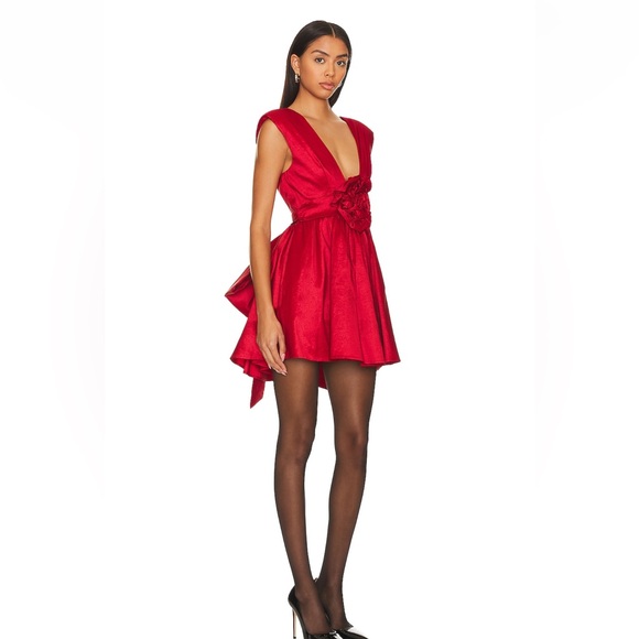 ROSE MINI DRESS - Picture 1 of 5